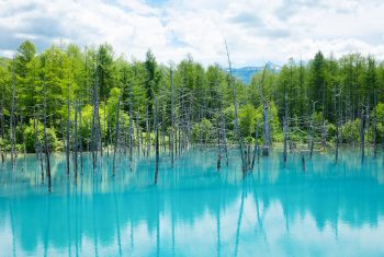 The Blue Pond (Aoi Ike), Shirogane, Biei